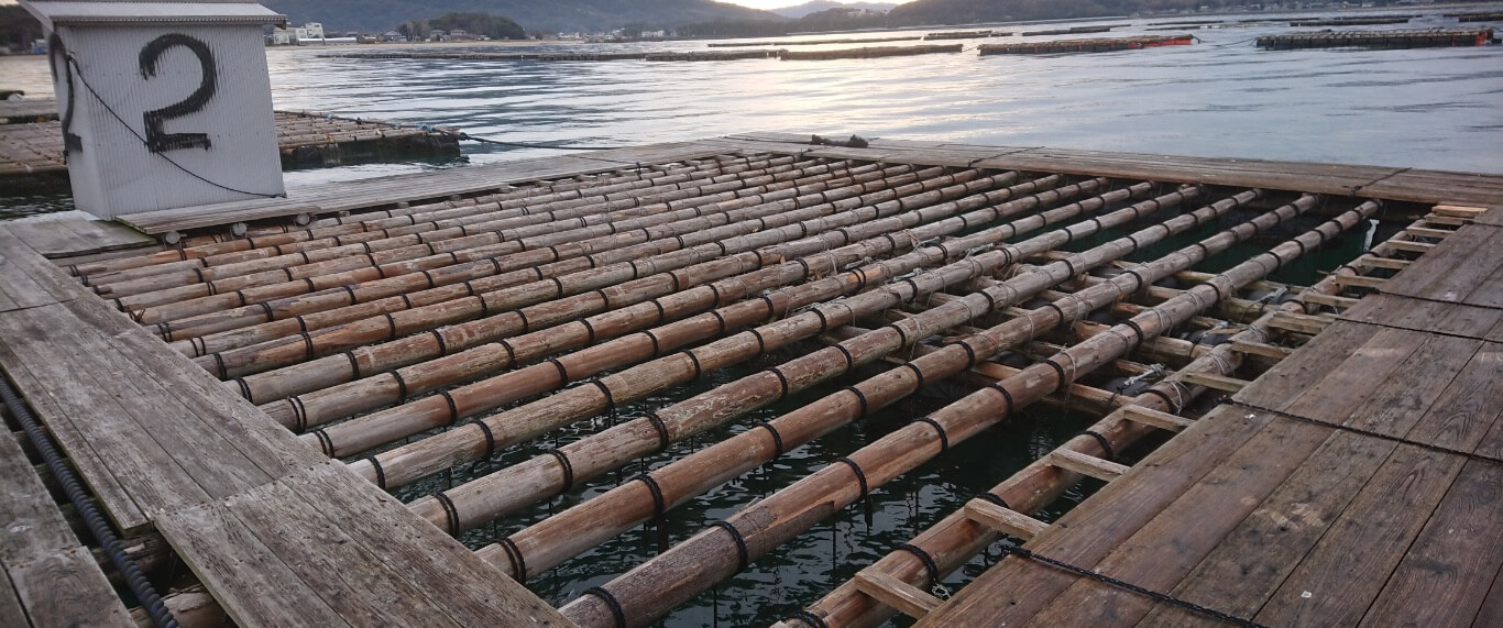 イカダ釣り案内