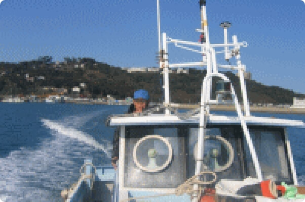 今日も収穫のために沖合の漁場へ。岐志港を出発!